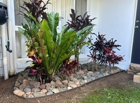 Garden outside window | Bellmere
