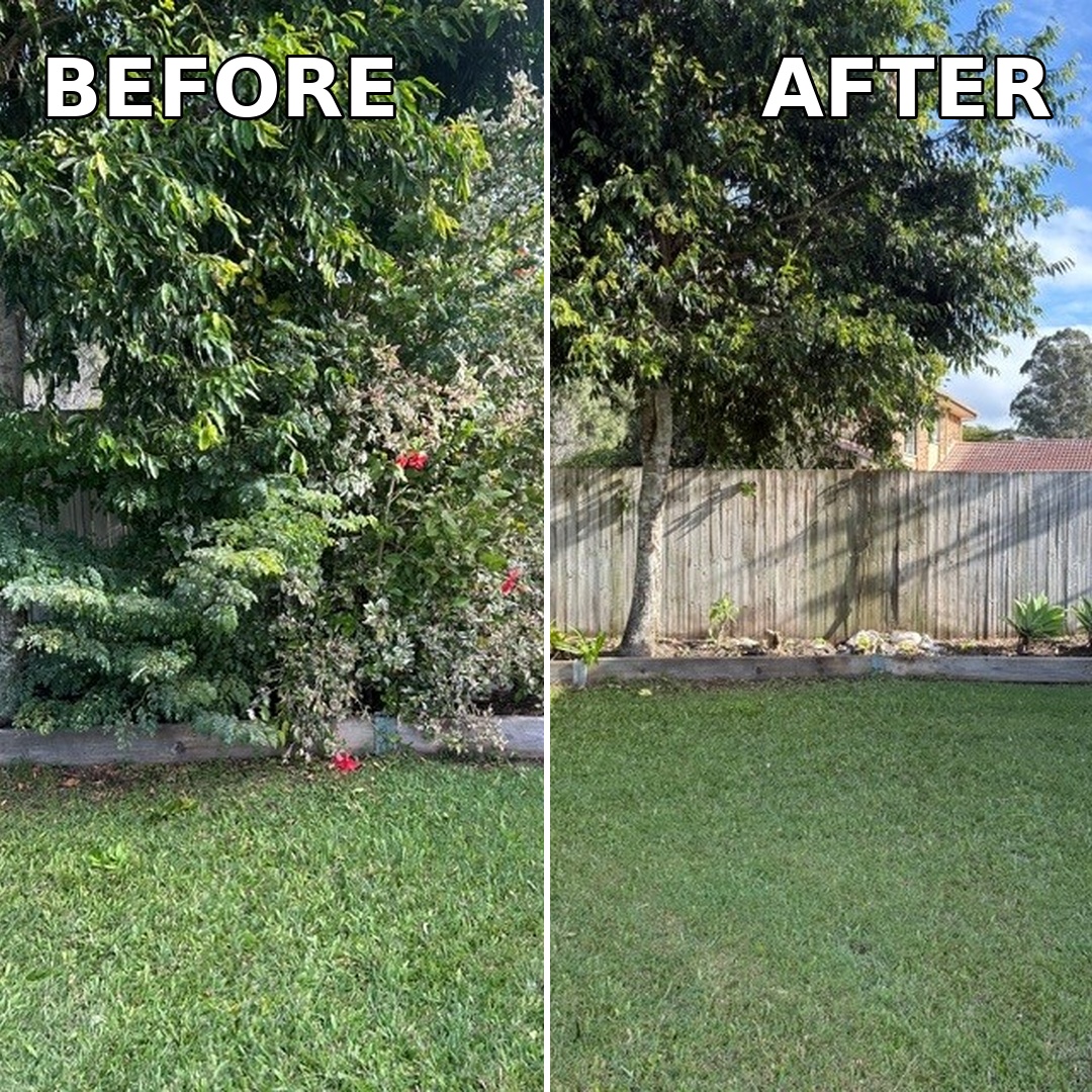 Overgrown bush removal