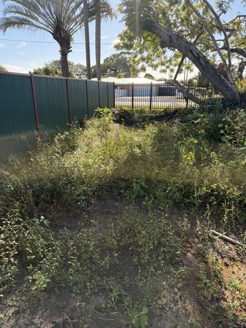 Overgrown weeds along a fence line before a yard tidy-up