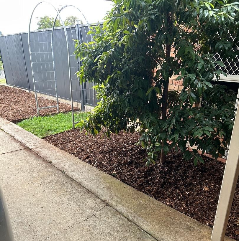 Remove weeds and add mulch | Deception Bay