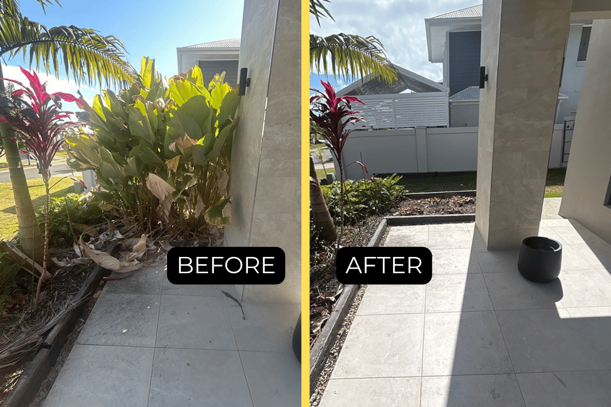 Bush removal | North Lakes