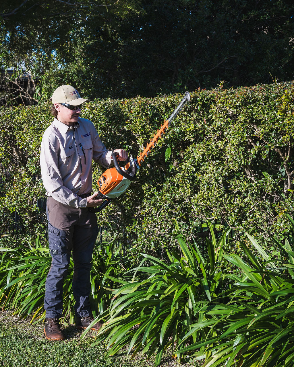 Hedging and Pruning
