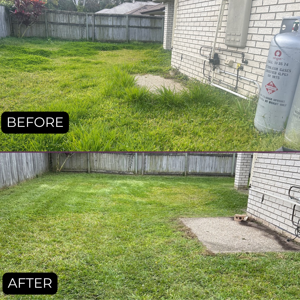 Overgrown lawn mow | Caboolture South