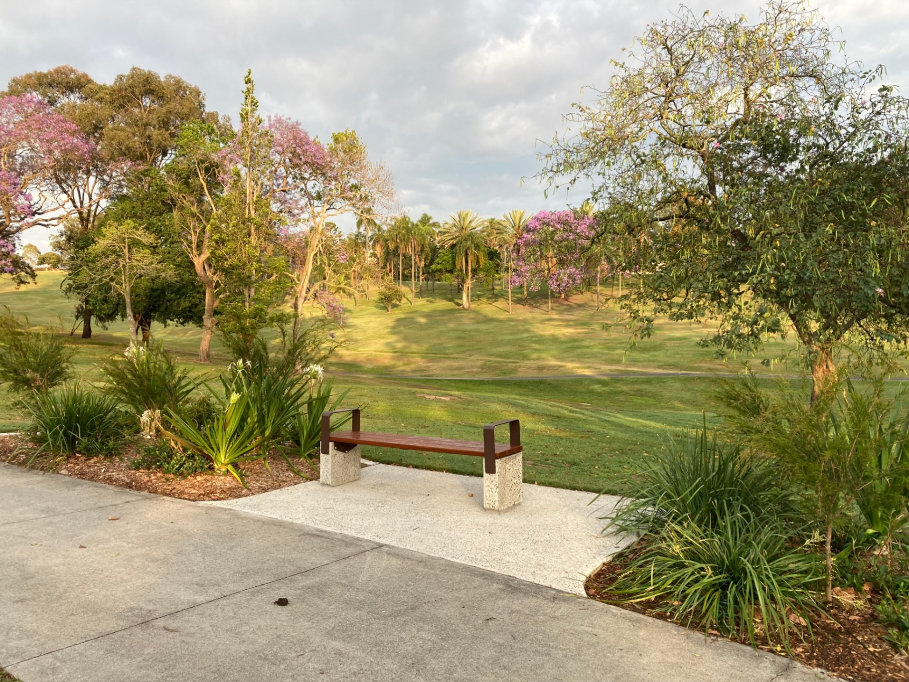 Park bench surrounded by gardens
