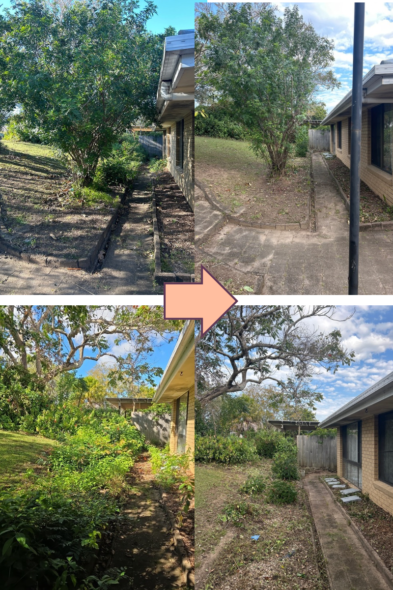 Overgrowth and weed clear out | Petrie