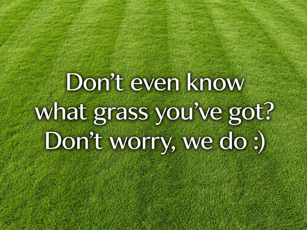 Don't even know what grass you've got? Don't worry, we do.
