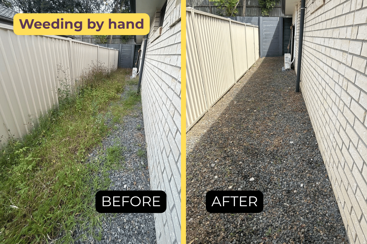 Hand weeding | Bellmere