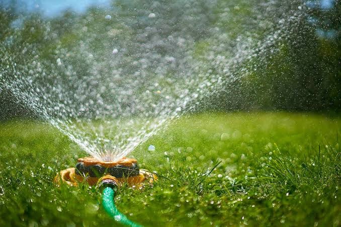 Sprinkler watering a freshly laid green lawn