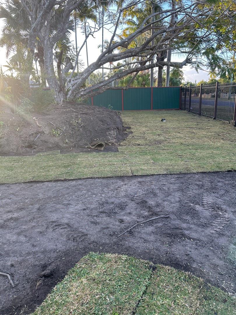 New turf laid around a mature tree with soil bed shaped to the root zone