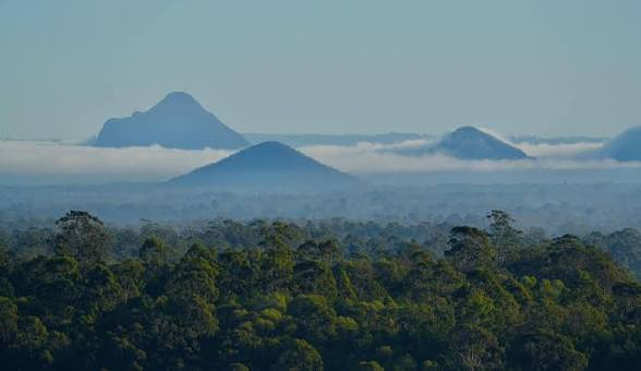 Glass House Mountains rising above misty bushland near Narangba