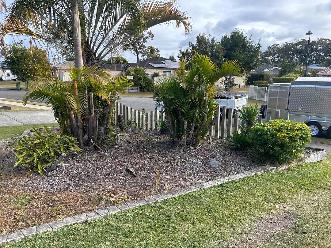 Tree and plant trimming | North Lakes