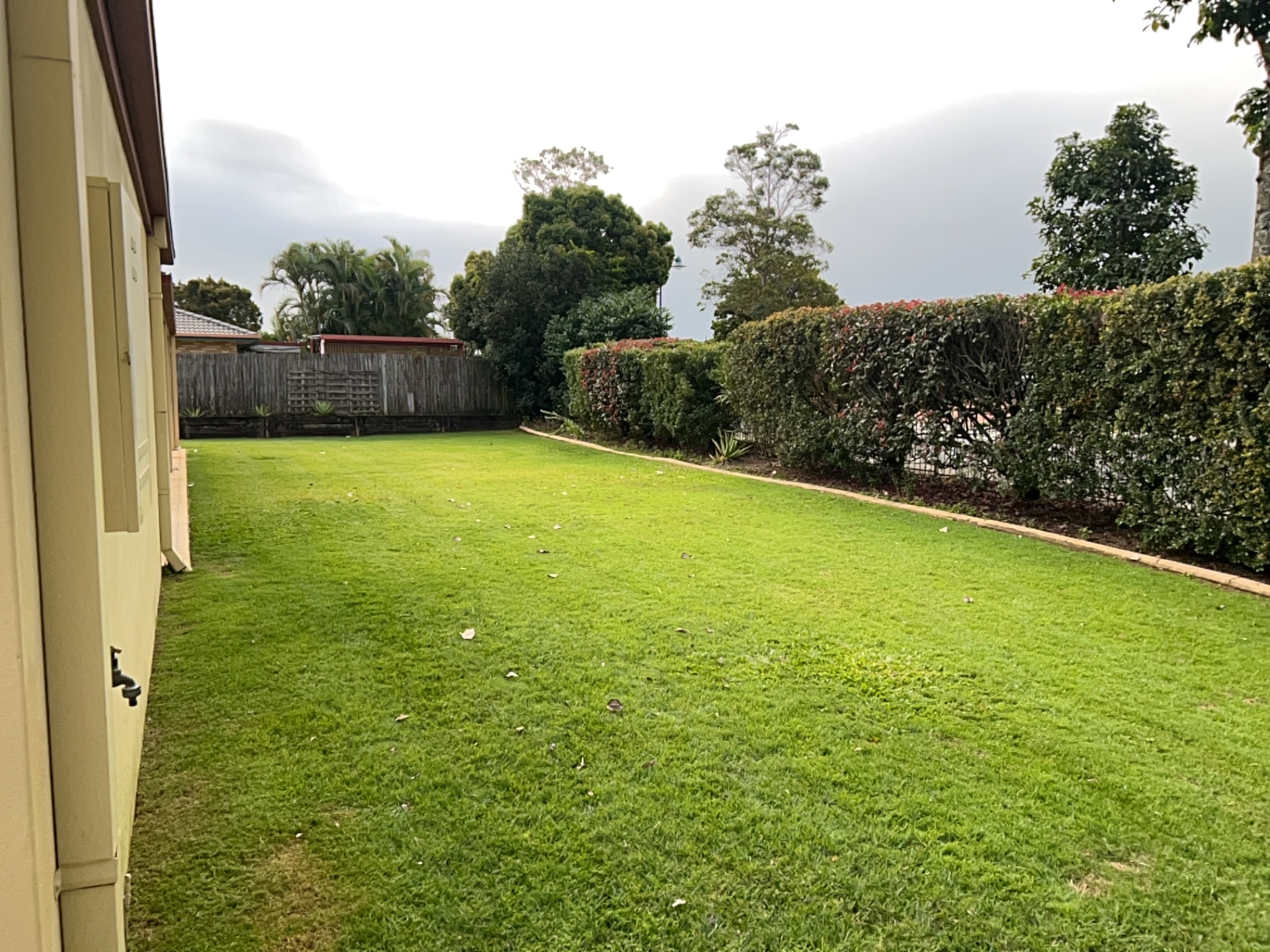 Freshly mowed backyard lawn with neat hedge borders in Morayfield