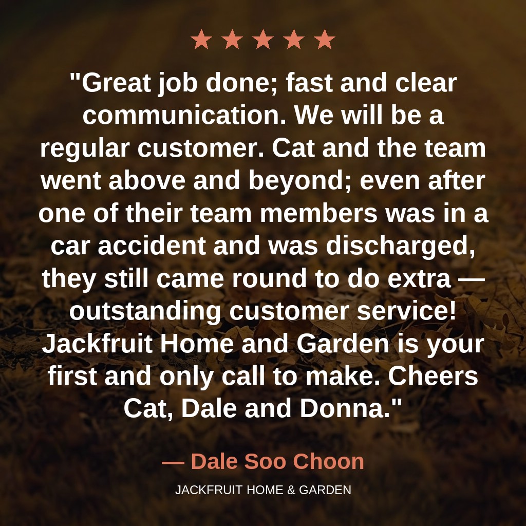 Dale Soo Choon — 5★ review
