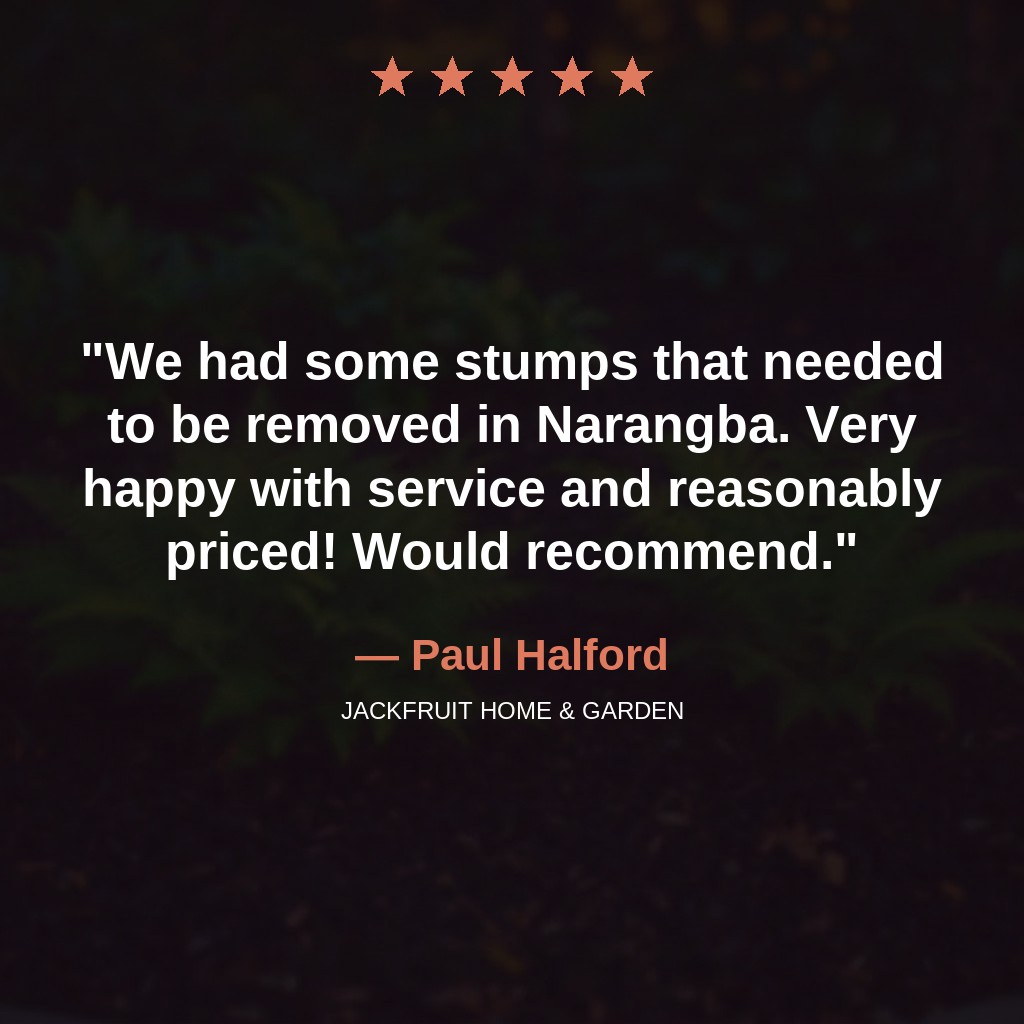 Paul Halford — 5★ review